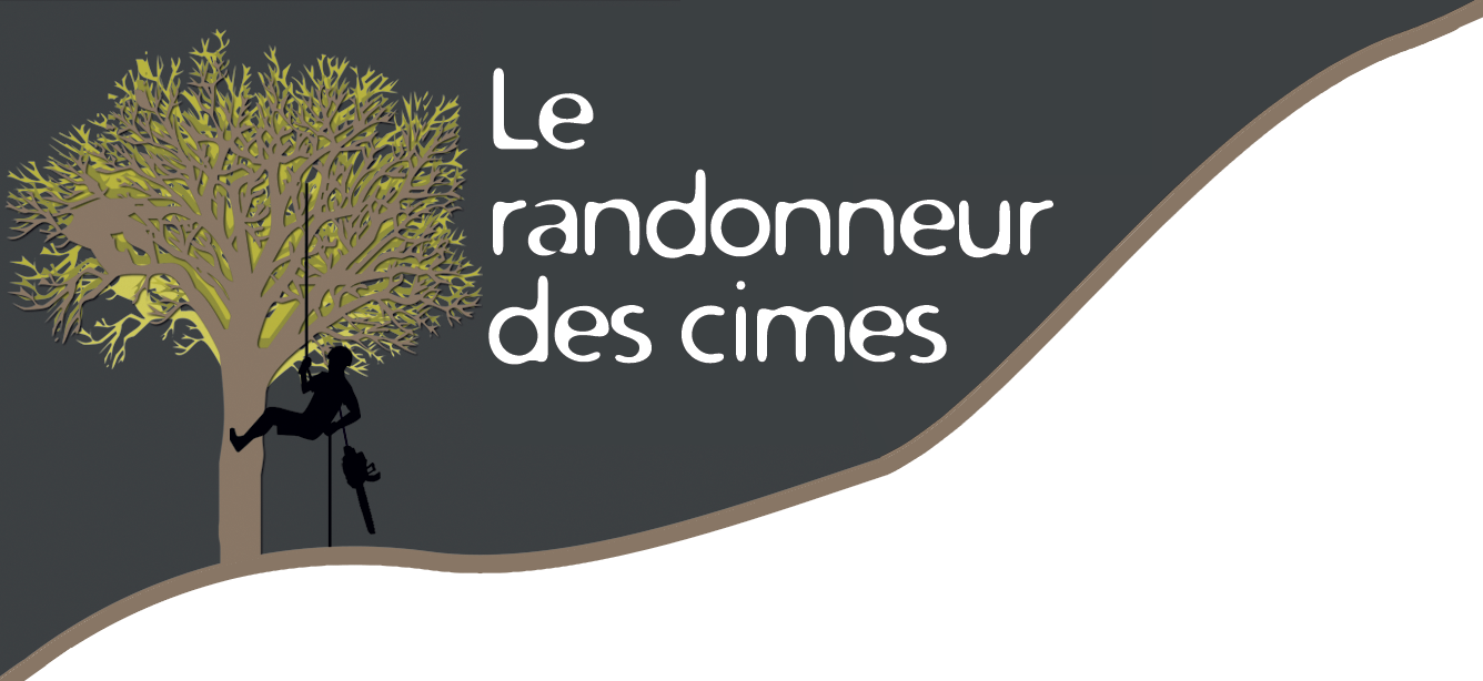 Elment graphique